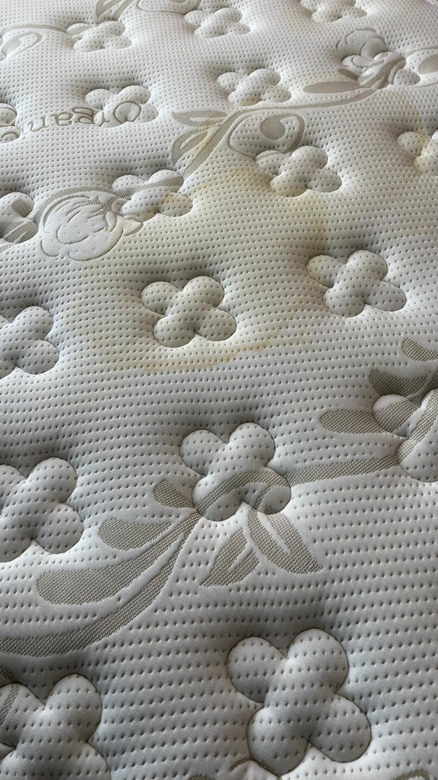 Çınar Buharlı Yıkama